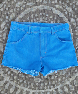70s Baby Blue Wrangler Cutoff Shorts
