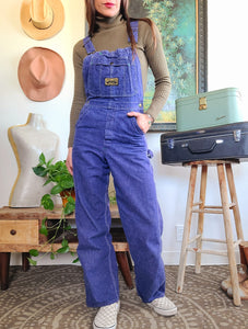 Dee cee Vintage Sanforized Denim Overalls